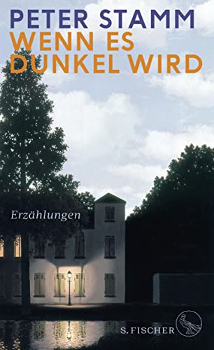 Wenn es dunkel wird: Erzählungen Wenn es dunkel wird: Erzählungen