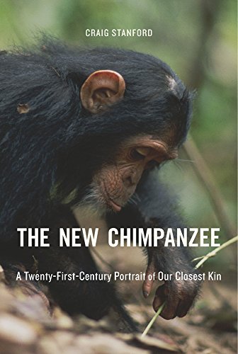 The New Chimpanzee: A Twenty-First-Century Portrait of Our Closest Kin von Harvard University Press