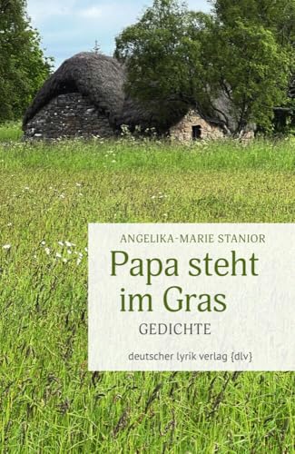 Papa steht im Gras: Gedichte (deutscher lyrik verlag) von Fischer, Karin Verlag