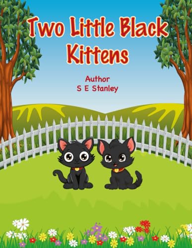 Two Little Black Kittens: A Bedtime Story Book von Independently published
