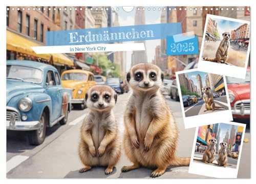 Erdmännchen in New York City (Wandkalender 2025 DIN A3 quer), CALVENDO Monatskalender von CALVENDO