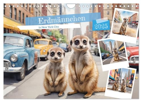 Erdmännchen in New York City (Wandkalender 2025 DIN A4 quer), CALVENDO Monatskalender von CALVENDO