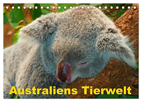 Australiens Tierwelt (Tischkalender 2024 DIN A5 quer), CALVENDO Monatskalender