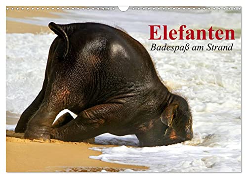 Elefanten. Badespaß am Strand (Wandkalender 2025 DIN A3 quer), CALVENDO Monatskalender von CALVENDO