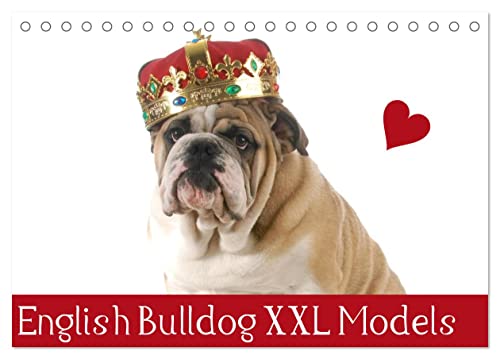 English Bulldog XXL Models (Tischkalender 2024 DIN A5 quer), CALVENDO Monatskalender
