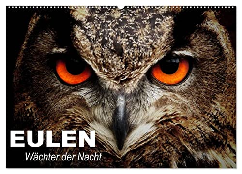 Eulen. Wächter der Nacht (Wandkalender 2025 DIN A2 quer), CALVENDO Monatskalender von CALVENDO
