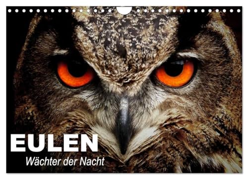 Eulen. Wächter der Nacht (Wandkalender 2025 DIN A4 quer), CALVENDO Monatskalender: Die mystischen Waldbewohner mit großer Fan-Gemeinde von CALVENDO