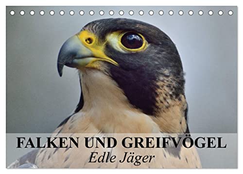 Falken und Greifvögel. Edle Jäger (Tischkalender 2025 DIN A5 quer), CALVENDO Monatskalender von CALVENDO