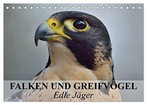 Falken und Greifvögel. Edle Jäger (Tischkalender 2025 DIN A5 quer), CALVENDO Monatskalender: Blitzschnelle und edle Jäger auch im Dienste der Menschen von Calvendo