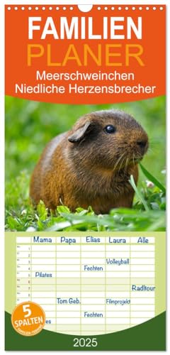 Familienplaner 2025 - Meerschweinchen Niedliche Herzensbrecher mit 5 Spalten (Wandkalender, 21 cm x 45 cm), CALVENDO