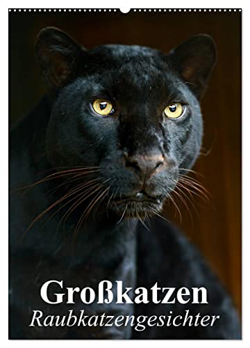 Großkatzen. Raubkatzengesichter (Wandkalender 2025 DIN A2 hoch), CALVENDO Monatskalender von CALVENDO