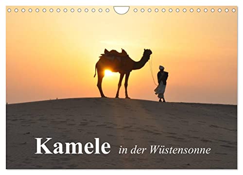 Kamele in der Wüstensonne (Wandkalender 2025 DIN A4 quer), CALVENDO Monatskalender von CALVENDO