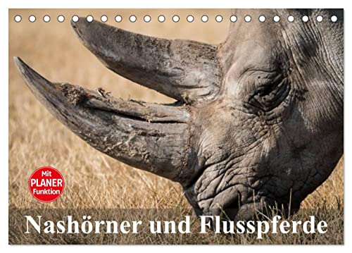 Nashörner und Flusspferde (Tischkalender 2025 DIN A5 quer), CALVENDO Monatskalender von CALVENDO