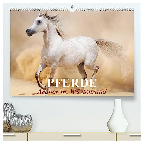 Pferde • Araber im Wüstensand (hochwertiger Premium Wandkalender 2025 DIN A2 quer), Kunstdruck in Hochglanz von CALVENDO