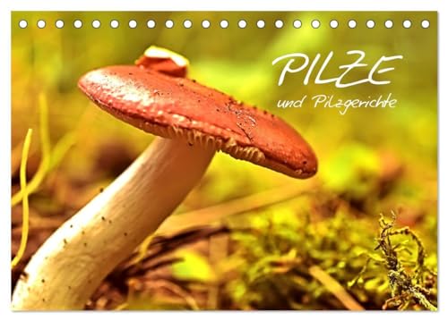 Pilze und Pilzgerichte (Tischkalender 2024 DIN A5 quer), CALVENDO Monatskalender: Kleine Männchen im Walde mit großem Geschmack auf dem Teller