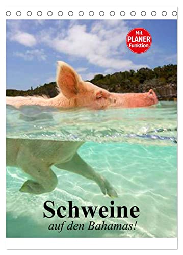 Schweine auf den Bahamas! (Tischkalender 2024 DIN A5 hoch), CALVENDO Monatskalender von CALVENDO