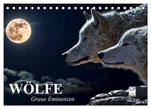 Wölfe. Graue Eminenzen (Tischkalender 2025 DIN A5 quer), CALVENDO Monatskalender von CALVENDO