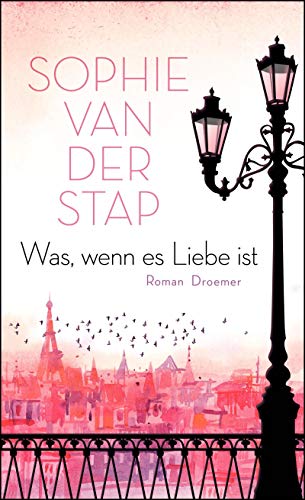 Was, wenn es Liebe ist: Roman