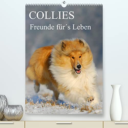 Collies - Freunde für´s Leben (Premium, hochwertiger DIN A2 Wandkalender 2023, Kunstdruck in Hochglanz): Eine der schönsten Hunderassen auf 13 ... (Monatskalender, 14 Seiten ) (CALVENDO Tiere)