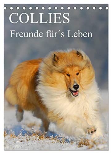 Collies - Freunde für´s Leben (Tischkalender 2023 DIN A5 hoch): Eine der schönsten Hunderassen auf 13 zauberhaften Fotos (Monatskalender, 14 Seiten ) (CALVENDO Tiere)