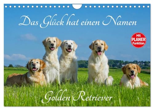 Das Glück hat einen Namen - Golden Retriever (Wandkalender 2025 DIN A4 quer), CALVENDO Monatskalender: Eine der wohl schönsten und beliebtesten Hunderassen auf 13 wundervollen Fotos von CALVENDO