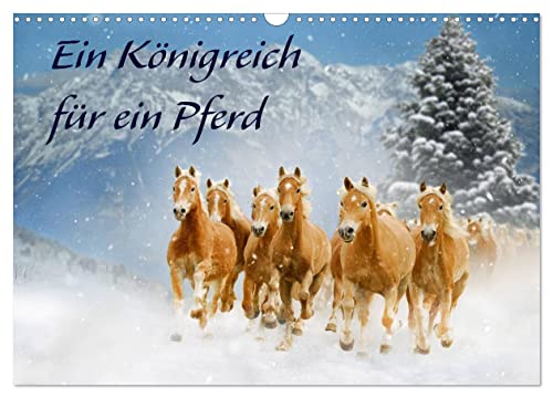 Ein Königreich für ein Pferd (Wandkalender 2024 DIN A3 quer), CALVENDO Monatskalender