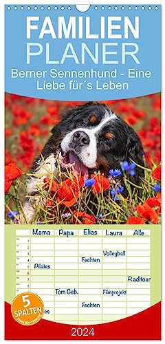 Familienplaner 2024 - Berner Sennenhund - Eine Liebe für´s Leben mit 5 Spalten (Wandkalender, 21 cm x 45 cm) CALVENDO