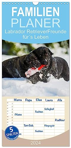 Familienplaner 2024 - Labrador Retriever - Freunde für´s Leben mit 5 Spalten (Wandkalender, 21 cm x 45 cm) CALVENDO