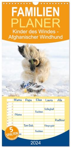 Familienplaner 2025 - Kinder des Windes - Afghanischer Windhund mit 5 Spalten (Wandkalender, 21 cm x 45 cm), CALVENDO von CALVENDO