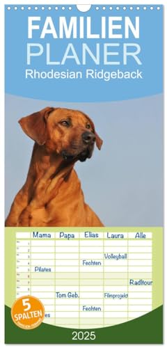 Familienplaner 2025 - Rhodesian Ridgeback 2025 mit 5 Spalten (Wandkalender, 21 cm x 45 cm), CALVENDO