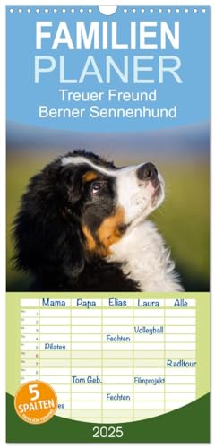 Familienplaner 2025 - Treuer Freund Berner Sennenhund mit 5 Spalten (Wandkalender, 21 cm x 45 cm), CALVENDO von CALVENDO