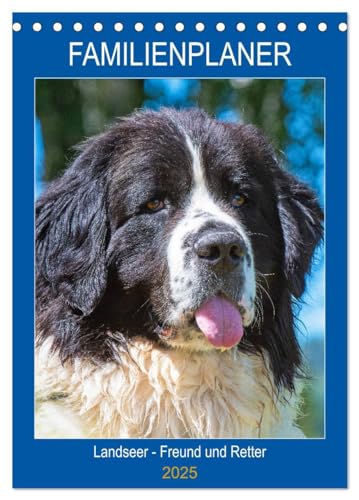 Familienplaner Landseer - Freund und Retter (Tischkalender 2025 DIN A5 hoch), CALVENDO Monatskalender: Landseer - diese faszinierenden Hunde ... Sigrid Starick in 13 bezaubernden Bildern. von CALVENDO