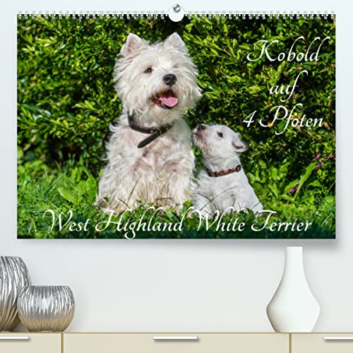 Kobold auf 4 Pfoten - West Highland White Terrier (Premium, hochwertiger DIN A2 Wandkalender 2023, Kunstdruck in Hochglanz): West Highland White ... (Monatskalender, 14 Seiten ) (CALVENDO Tiere)