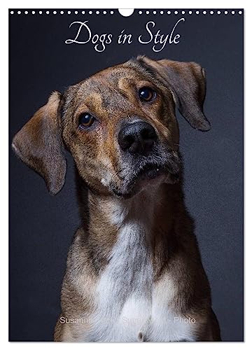 Dogs in Style (Wall Calendar 2025 DIN A3 portrait), CALVENDO 12 Month Wall Calendar: Portraits of beautiful dogs von Calvendo