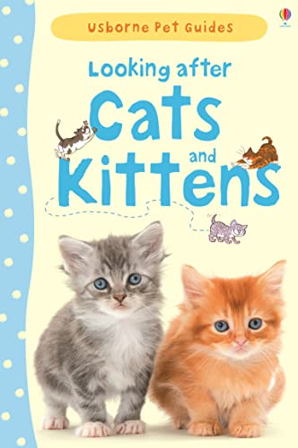 LOOKING AFTER CATS AND KITTENS (Pet Guides) von USBORNE INGLES