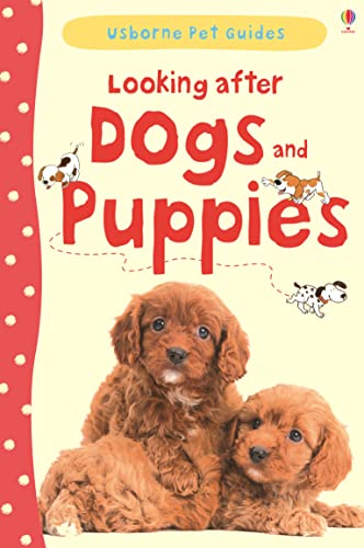 Looking After Dogs & Puppies (Pet Guides) von Usborne Publishing Ltd