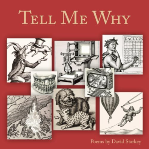Tell Me Why von BlazeVOX [books]