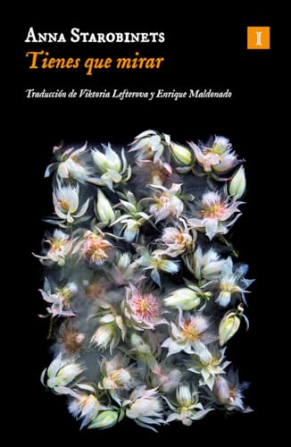 Tienes que mirar (Impedimenta, Band 225)