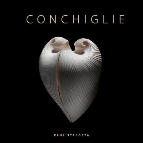 Conchiglie. Ediz. a colori (Fotografia) von 5 Continents Editions