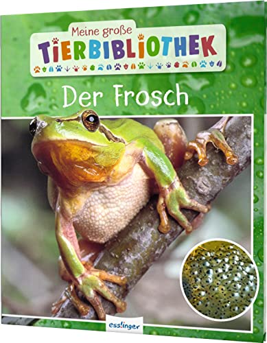 Meine große Tierbibliothek: Der Frosch: Sachbuch für Vorschule & Grundschule