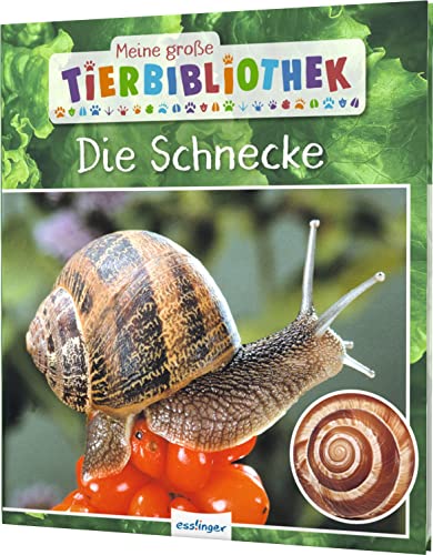 Meine große Tierbibliothek: Die Schnecke: Sachbuch für Vorschule & Grundschule von Esslinger Verlag