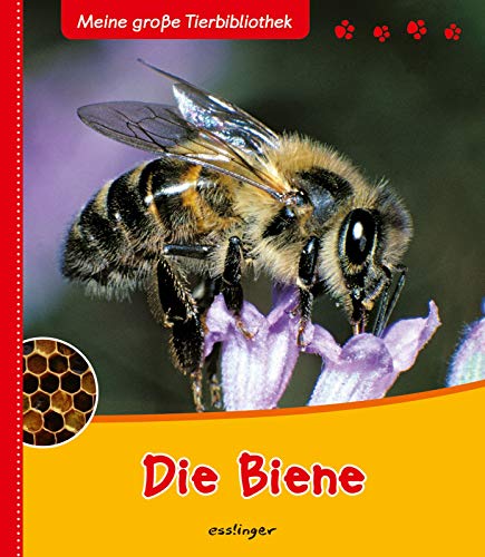 Meine große Tierbibliothek: Die Biene