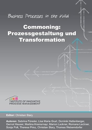 Business Processes in the Wild / Commoning: Prozessgestaltung und Transformation