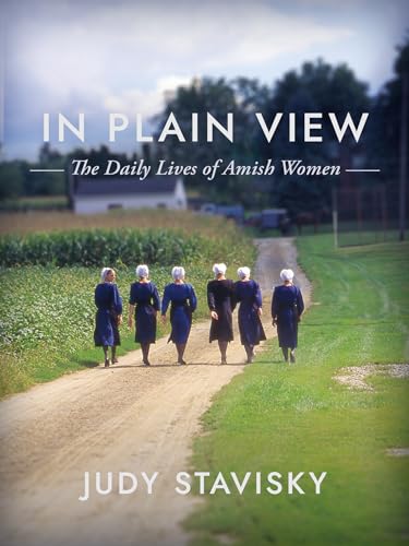In Plain View: The Daily Lives of Amish Women von Herald Press (VA)