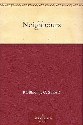 Neighbours von Anson Street Press