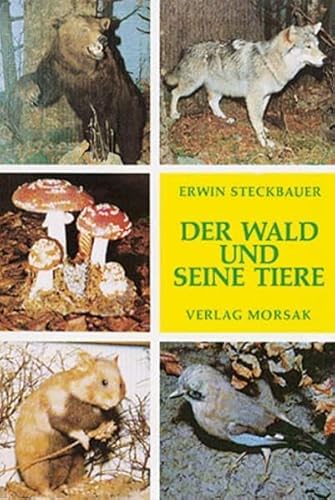 Der Wald und seine Tiere: Wald und Wildtiere im Zwieseler Waldmuseum
