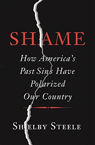 Shame: How America's Past Sins Have Polarized Our Country