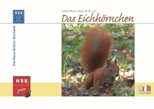 Das Eichhörnchen (NBB junior) von Wolf, VerlagsKG