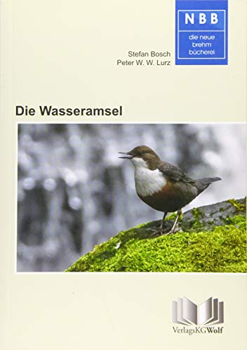 Die Wasseramsel: Cinclus cinclus (Die Neue Brehm-Bücherei) von Wolf, VerlagsKG