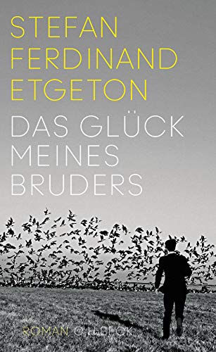 Das Glück meines Bruders: Roman